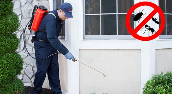 Demirköy Böcek ve Haşere İlaçlama böcek ilaçlama ve haşere kontrolü — ilaclama-tr.com